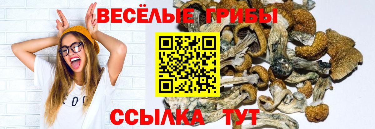Псилоцибиновые грибы ЛСД  Вход с VPN  Урай  Галлюциногенные грибы GOLDEN TEACHER 